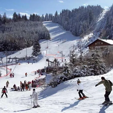 Le Refuge Du Peintre * Gérardmer