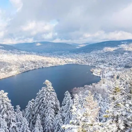 Le Refuge Du Peintre Holiday home Gerardmer