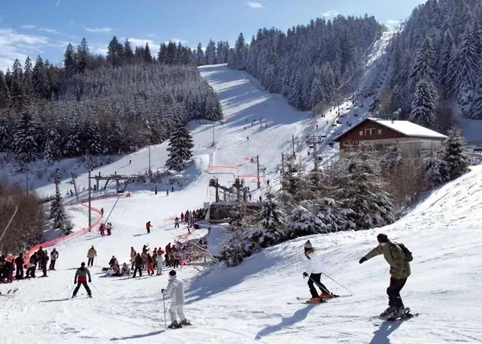 Le Refuge Du Peintre * Gérardmer