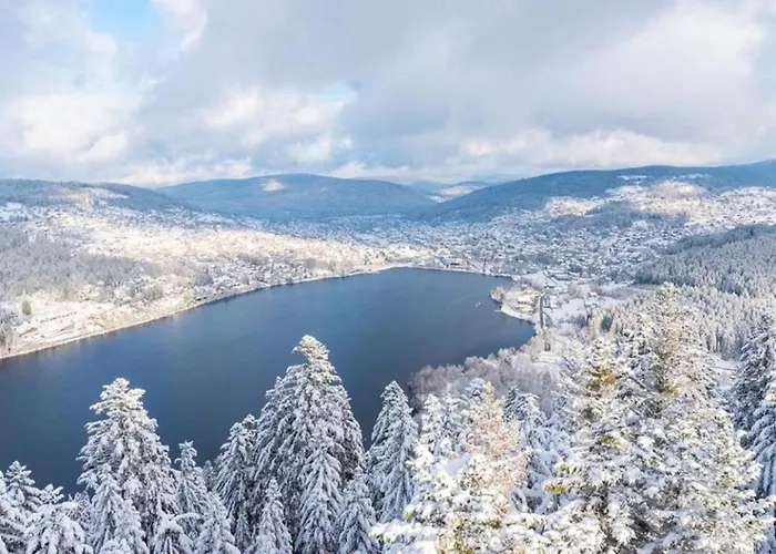 Le Refuge Du Peintre Ferienhaus Gérardmer